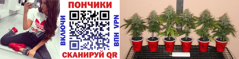 Магазины продажи наркотиков Красково Alpha-PVP  Меф  АМФЕТАМИН  Марихуана  ГАШ 