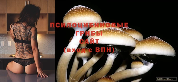 дурь Аркадак