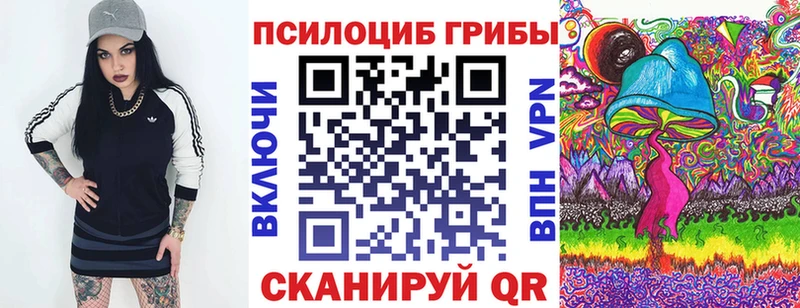 Псилоцибиновые грибы Psilocybine cubensis  цена наркотик  гидра ССЫЛКА  Красково 